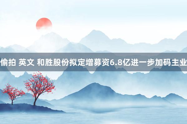 偷拍 英文 和胜股份拟定增募资6.8亿进一步加码主业