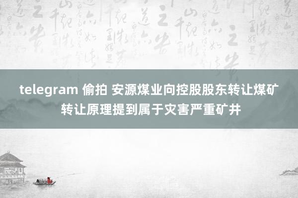 telegram 偷拍 安源煤业向控股股东转让煤矿 转让原理提到属于灾害严重矿井