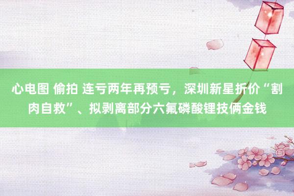 心电图 偷拍 连亏两年再预亏，深圳新星折价“割肉自救”、拟剥离部分六氟磷酸锂技俩金钱