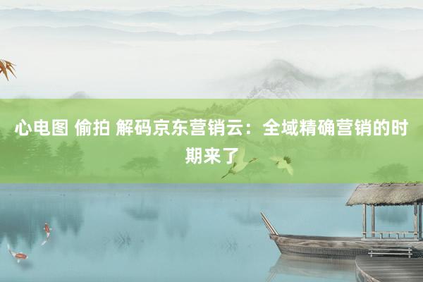 心电图 偷拍 解码京东营销云：全域精确营销的时期来了