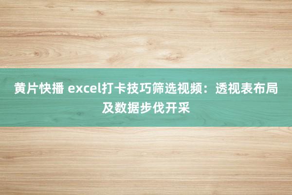 黄片快播 excel打卡技巧筛选视频：透视表布局及数据步伐开采
